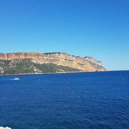 The Cove *